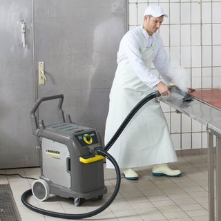 Karcher Steam Cleaner